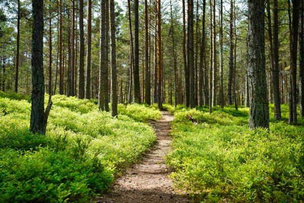 Guided tour from Tartu to Põlva and South-Estonia